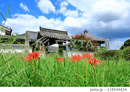 川原寺跡 山門と彼岸花 川原寺跡 山門と彼岸花 119544834