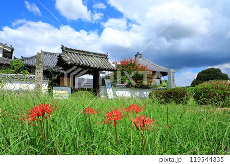 川原寺跡 山門と彼岸花 川原寺跡 山門と彼岸花 119544835
