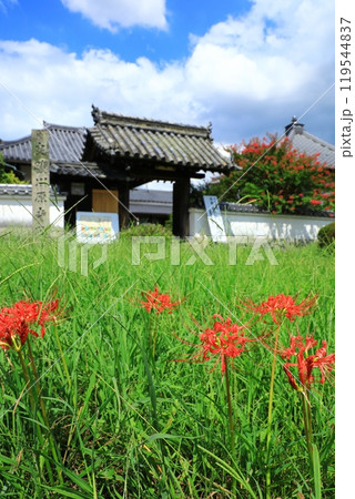 川原寺跡 山門と彼岸花 川原寺跡 山門と彼岸花 119544837