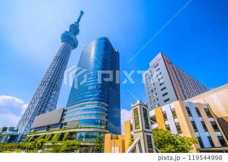 日本の東京都市景観 東京スカイツリーやソラマチなどを望む=6日 日本の東京都市景観 東京スカイツリーやソラマチなどを望む=6日 119544998