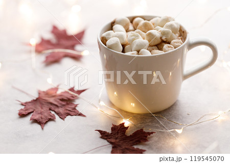 Cup of hot chocolate on white background Cup of hot chocolate on white background 119545070