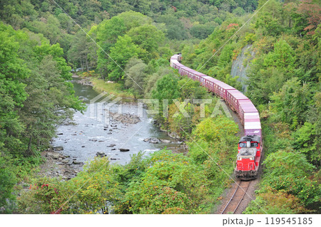 石北本線 旧白滝ー下白滝 JR貨物 DD51-1086+コキ+DD51-1056(鷲別) 石北貨物 石北本線 旧白滝ー下白滝 JR貨物 DD51-1086+コキ+DD51-1056(鷲別) 石北貨物 119545185