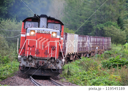 石北本線 生野ー生田原 JR貨物 DD51-1056+コキ+DD51-1086(鷲別) 石北貨物 石北本線 生野ー生田原 JR貨物 DD51-1056+コキ+DD51-1086(鷲別) 石北貨物 119545189