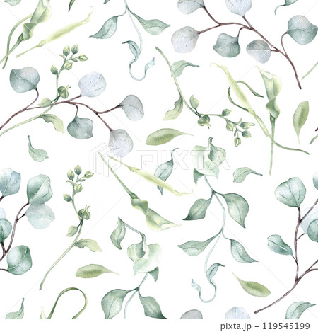 Watercolor eucalyptus leaves pale green seamless pattern isolated. Soft green foliage texture repeated of plants branches hand drawn. Greenery background for design textile, wallpaper, package. 119545199