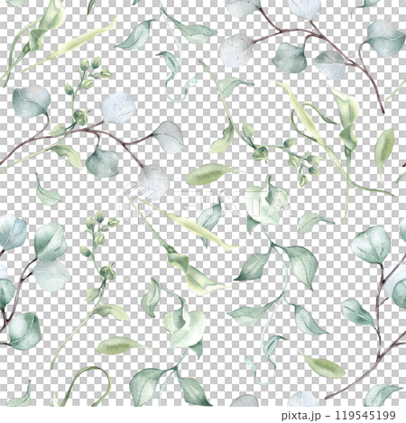 Watercolor eucalyptus leaves pale green seamless pattern isolated. Soft green foliage texture repeated of plants branches hand drawn. Greenery background for design textile, wallpaper, package. 119545199