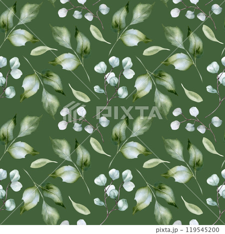 Pale green watercolor seamless pattern with holly leaves isolated. Foliage texture repeated of twigs and branches hand drawn in soft green. Greenery background for design textile, wallpaper, package. 119545200