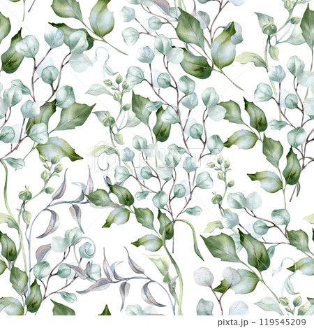 Eucalyptus branches, holly leaves and curly vines in pastel watercolor isolated. Delicate foliage seamless pattern in sage green hand drawn for design textile. wrapping paper. Green flora background. Eucalyptus branches, holly leaves and curly vines in pastel watercolor isolated. Delicate foliage seamless pattern in sage green hand drawn for design textile. wrapping paper. Green flora background. 119545209