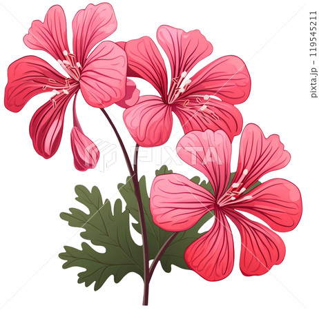 Red flower  119545211