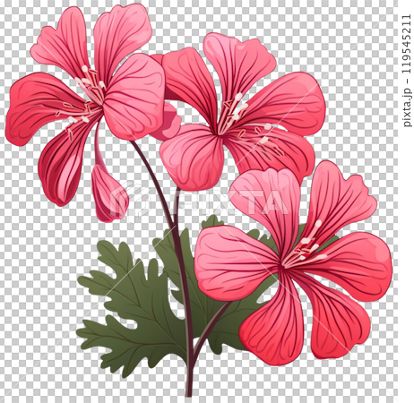 Red flower  119545211