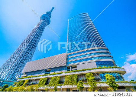 日本の東京都市景観 東京スカイツリーやソラマチなどを望む＝6日 119545313