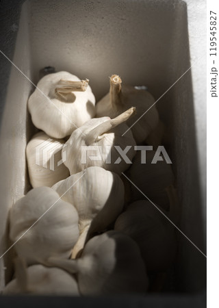 fresh garlic in a box fresh garlic in a box 119545827