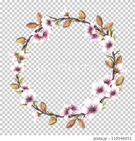 Watercolor Almond tree branch with nuts, leaves and flowers. Botanical spring wreath, circle frame. Hand drawn illustration. Floral clipart. Template for card, cosmetic label on isolated background. 119546051