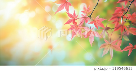 紅葉の玉ボケが綺麗な背景イメージ 119546613