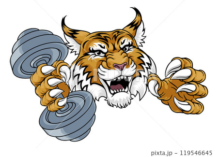 Wildcat Cougar Lynx Lion Weight Lifting Gym Mascot 119546645