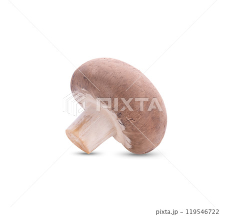 Fresh shiitake mushrooms on white background Fresh shiitake mushrooms on white background 119546722