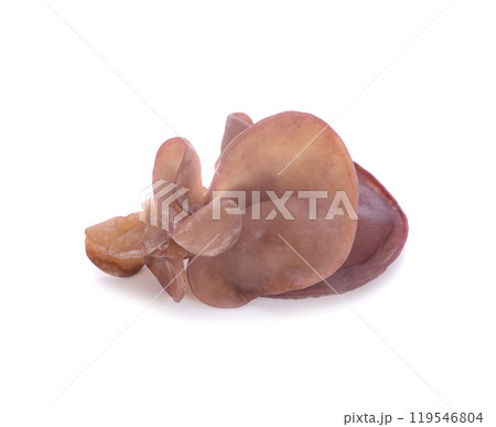 Fresh wood ear mushrooms on white background Fresh wood ear mushrooms on white background 119546804