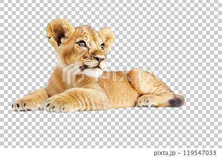 Cute lion cub on a transparent background. AI-generated item Cute lion cub on a transparent background. AI-generated item 119547033