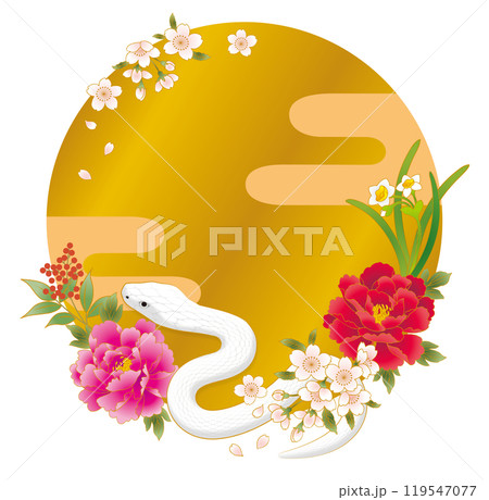 巳年 年賀状素材  白蛇 巳年 年賀状素材  白蛇 119547077