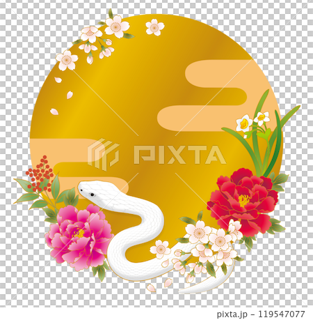 巳年 年賀状素材  白蛇 巳年 年賀状素材  白蛇 119547077