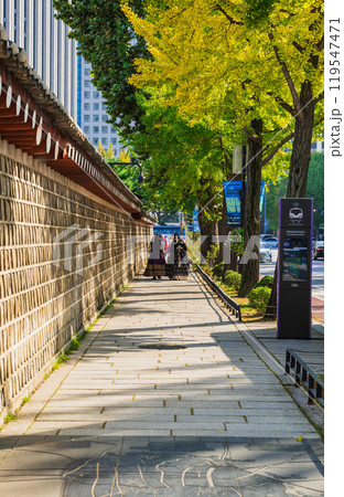 秋のソウル　景福宮（キョンボックン） 119547471