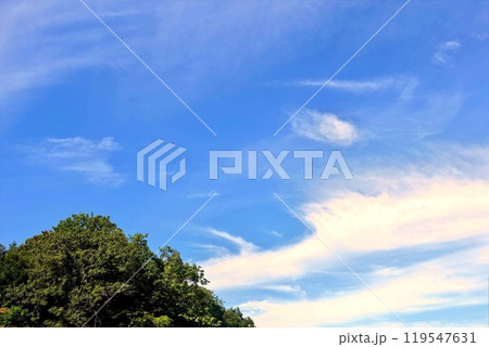 青い秋空と碧い一碧湖 119547631