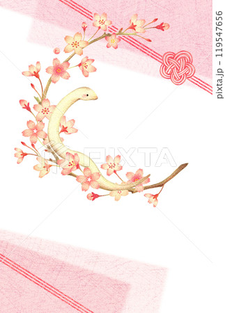 白蛇と桜の飾り枠の巳年の年賀状 手描き色鉛筆画 白蛇と桜の飾り枠の巳年の年賀状 手描き色鉛筆画 119547656