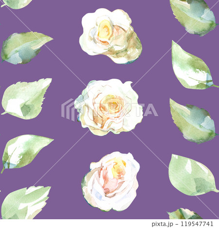 Seamless pattern of white roses with green leaves in collection garden flowers. Watercolor illustration in ribbon, stripe for floral design of fabric, towel, textile, weaving, wallpaper, wrapping 119547741