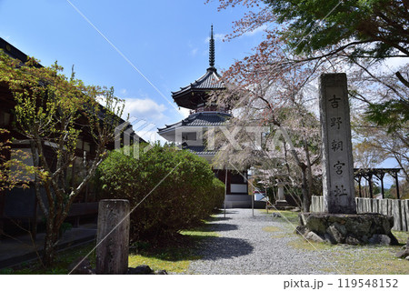 奈良・吉野朝宮跡と桜 119548152