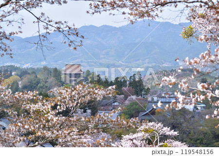 奈良・吉野の桜と金峯山寺 119548156