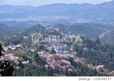 奈良・吉野の桜と金峯山寺 奈良・吉野の桜と金峯山寺 119548157