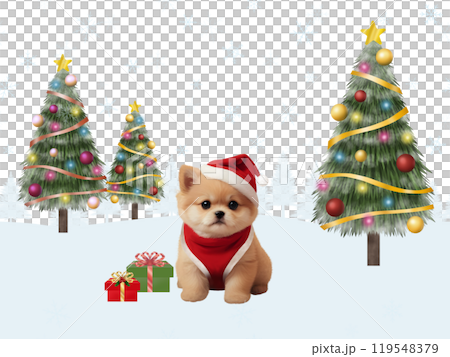 Christmas background (Pomeranian) A-1 119548379