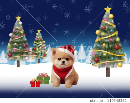 クリスマスの背景(ポメラニアン)A-2 クリスマスの背景(ポメラニアン)A-2 119548382