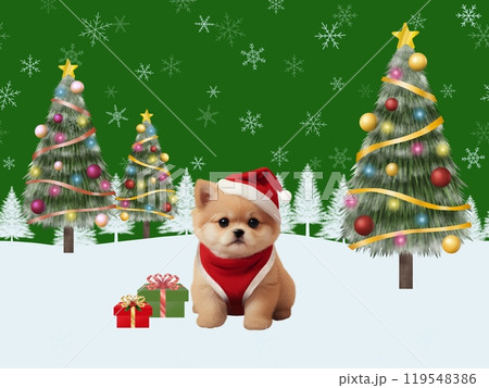 クリスマスの背景(ポメラニアン)A-3 クリスマスの背景(ポメラニアン)A-3 119548386