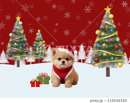 クリスマスの背景（ポメラニアン）A-4 119548389