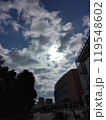 冬の夜明け 119548602