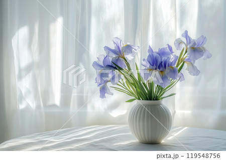 A vase of delicate purple irises on a table illuminated by natural light through sheer curtains in a 119548756