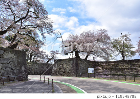 彦根城・京橋口門と雁木 彦根城・京橋口門と雁木 119548788