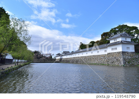 彦根城の中堀と埋木舎と二の丸佐和口多聞櫓 彦根城の中堀と埋木舎と二の丸佐和口多聞櫓 119548790