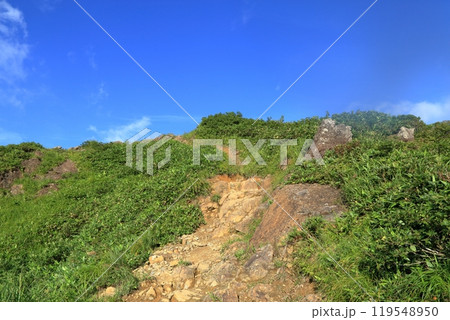 夏の谷川岳の風景 ( 西黒尾根 ) 119548950