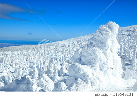 山形蔵王スキー場　ゴンドラ駅地蔵山頂から望む樹氷原の絶景 119549131