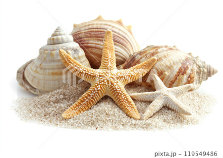 Colorful seashells and starfish arranged on sandy beach, showcasing nature's beauty and ocean 119549486