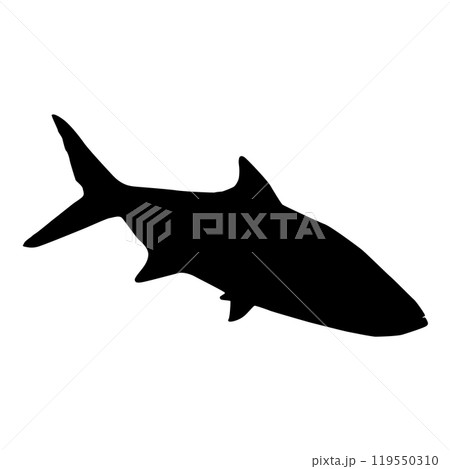 Saltwater fish sardine isolated black silhouette. Marine animal. White background. Vector illustration clipart. 119550310