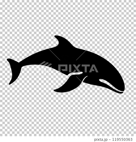 Black silhouette of a whale, dolphin, fish on white background. Black silhouette of a whale, dolphin, fish on white background. 119550363