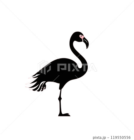 Black silhouette, tattoo of a pelican on red background. Vector. Black silhouette, tattoo of a pelican on red background. Vector. 119550556