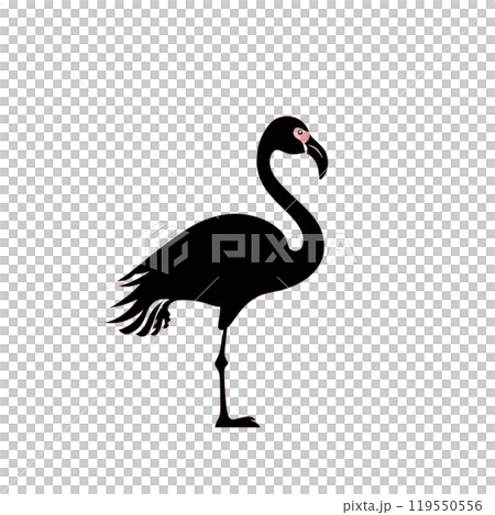 Black silhouette, tattoo of a pelican on red background. Vector. Black silhouette, tattoo of a pelican on red background. Vector. 119550556
