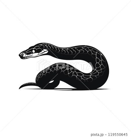 Black silhouette, tattoo of a snake on white isolated background. Vector. Black silhouette, tattoo of a snake on white isolated background. Vector. 119550645
