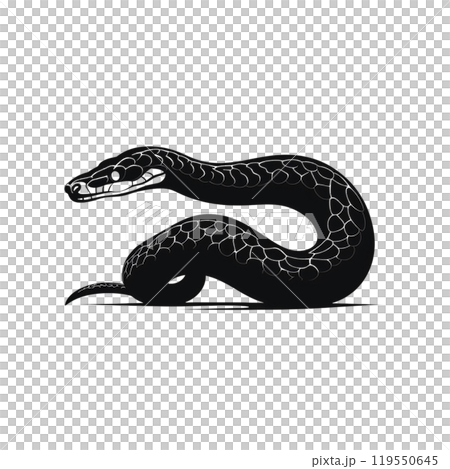 Black silhouette, tattoo of a snake on white isolated background. Vector. Black silhouette, tattoo of a snake on white isolated background. Vector. 119550645