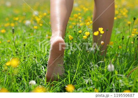 Close up of a woman bare feet walking on the grass 119550687
