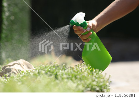 Woman hand spraying insecticide over plants in a garden 119550891