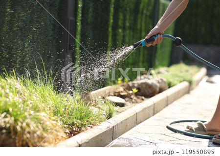 Woman watering plants with water shortage in the garden Woman watering plants with water shortage in the garden 119550895
